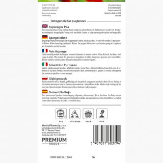 Głąbigroszek - 23 nasion