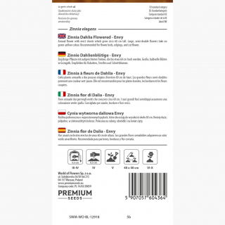 Cynia wytworna daliowa Envy - 120 nasion