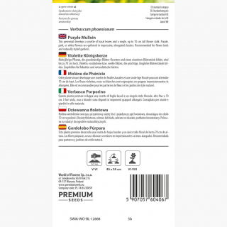 Dziewanna fioletowa - 800 nasion