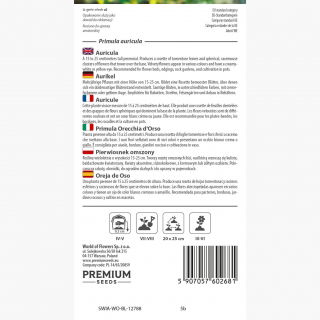 Pierwiosnek omszony - 110 nasion