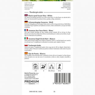 Tunbergia biała - 20 nasion