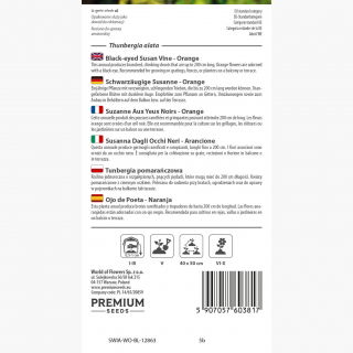 Tunbergia pomarańczowa - 28 nasion