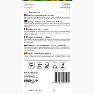 Aksamitka niska - waniliowa - 0,2 gnasion