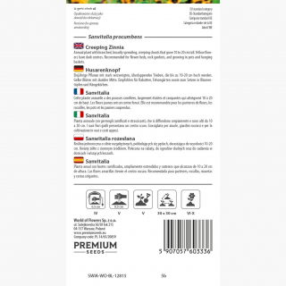 Sanwitalia rozesłana - 570 nasion