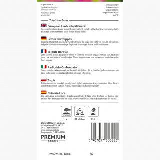 Tolpis - 2000 nasion