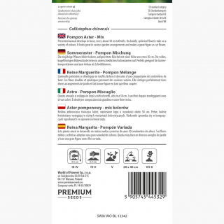 Aster chiński pomponowy - 500 nasion