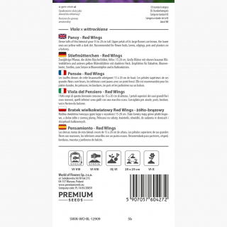 Bratek wielkokwiatowy - żółto-brązowy - 400 nasion