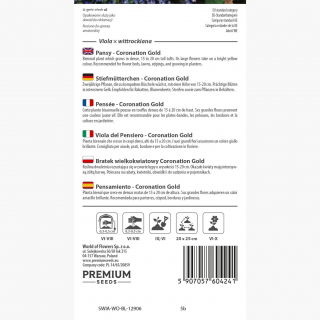 Bratek wielkokwiatowy - żółty - 400 nasion