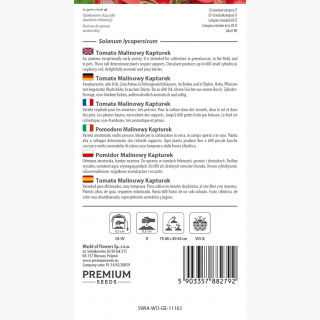 Pomidor Malinowy Kapturek