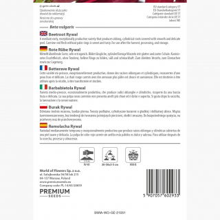 Burak ćwikłowy - Rywal - 500 nasion