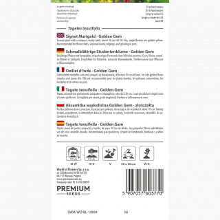 Aksamitka wąskolistna złotożółta - 600 nasion