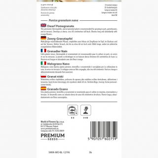 Granat niski - 27 nasion