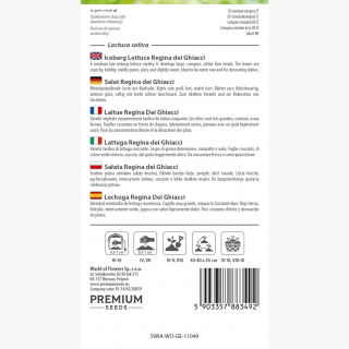 Sałata lodowa Regina Dei Ghiacci - kruche liście - 475 nasion
