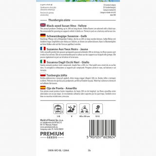 Tunbergia żółta - 17 nasion