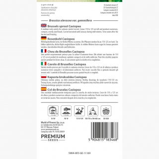 Kapusta brukselska Casiopea - 640 nasion