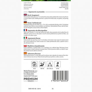 Mydlnica bazyliowata - 450 nasion