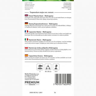 Nasturcja niska - Mahogany Jewel - 40 nasion