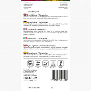 Cynia wytworna karłowa Thumbelina - 60 nasion