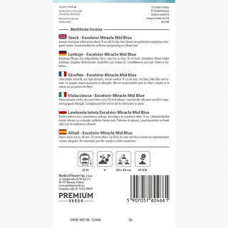 Lewkonia letnia Excelsior liliowoniebieska - 300 nasion