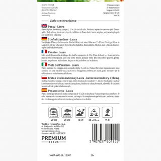 Bratek wielkokwiatowy - karminoworóżowy z plamą Claret - 400 nasion