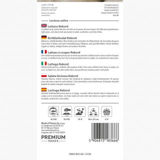 Sałata Rekord - liściowa, mocno karbowana - 900 nasion