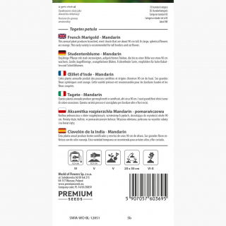 Aksamitka rozpierzchła Mandarin - pomarańczowa