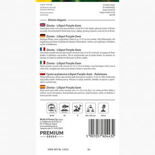 Cynia wytworna Liliput Purple Gem fioletowa