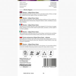 Cynia wytworna Liliput Rose Gem różowa