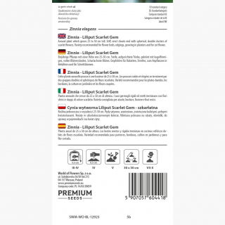 Cynia wytworna Liliput Scarlet Gem szkarłatna