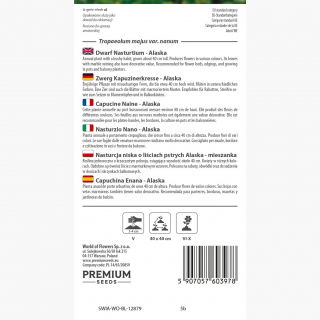 Nasturcja niska o liściach pstrych Alaska mieszanka