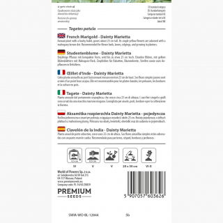 Aksamitka rozpierzchła pojedyncza Dainty Marietta