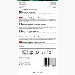 Aster Duchesse - mieszanka