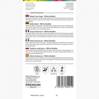 Szałwia omączona White Bedder