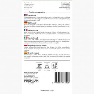 Koper ogrodowy Kozak - bardzo aromatyczny - 2800 nasion