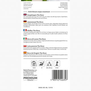 Lwia paszcza wysoka różowa The Rose - 4000 nasion