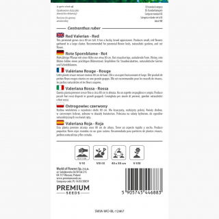 Ostrogowiec czerwony