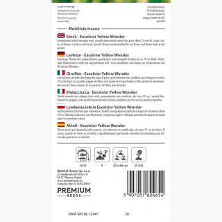 Lewkonia letnia Excelsior jasnożółta