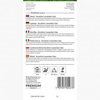 Lewkonia letnia Excelsior liloworóżowa