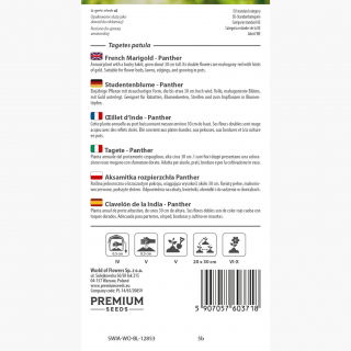 Aksamitka rozpierzchła Panther - mahoniowo-czerwona ze złotym obrzeżem