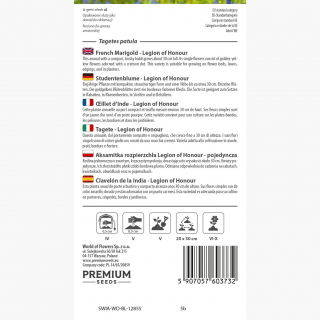 Aksamitka rozpierzchła pojedyncza Legion of Honour