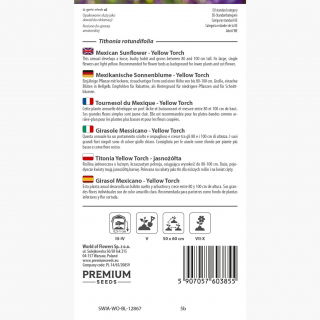 Titonia Yellow Torch - jasnożółta