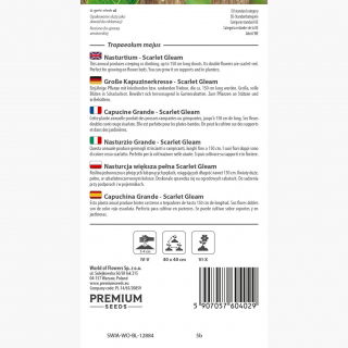 Nasturcja większa pełna Scarlet Gleam