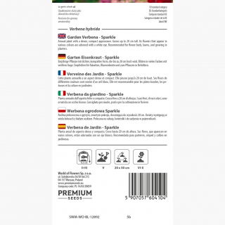 Werbena ogrodowa Sparkle