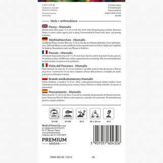 Bratek wielkokwiatowy Hiemalis