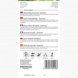 Cynia wytworna Sombrero