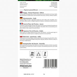 Mak letni - peoniowy, żółty