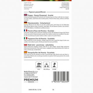 Mak letni - peoniowy, szkarłatny