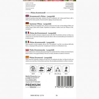 Floks Drummonda - Leopoldii - łososiowo rożowy z białym oczkiem