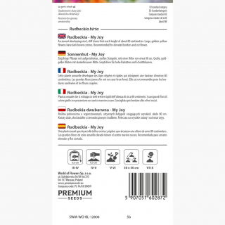 Rudbekia dwubarwna - My Joy