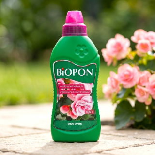 Nawóz do zasilania begonii - Biopon - 500 ml